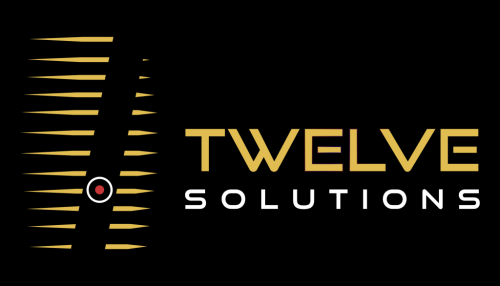logo_TwelveSolutions 3