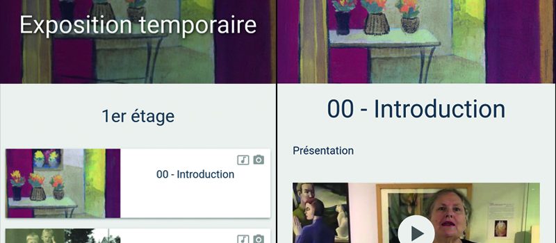 Liste des collections créées par la conservatrice sur l'interface du Wivi
